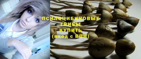 бошки Арсеньев