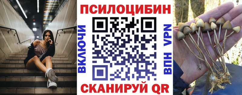 где купить наркоту  Благодарный  Галлюциногенные грибы Magic Shrooms 